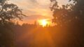 Abendsonne Blk.