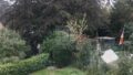 Blick in Garten