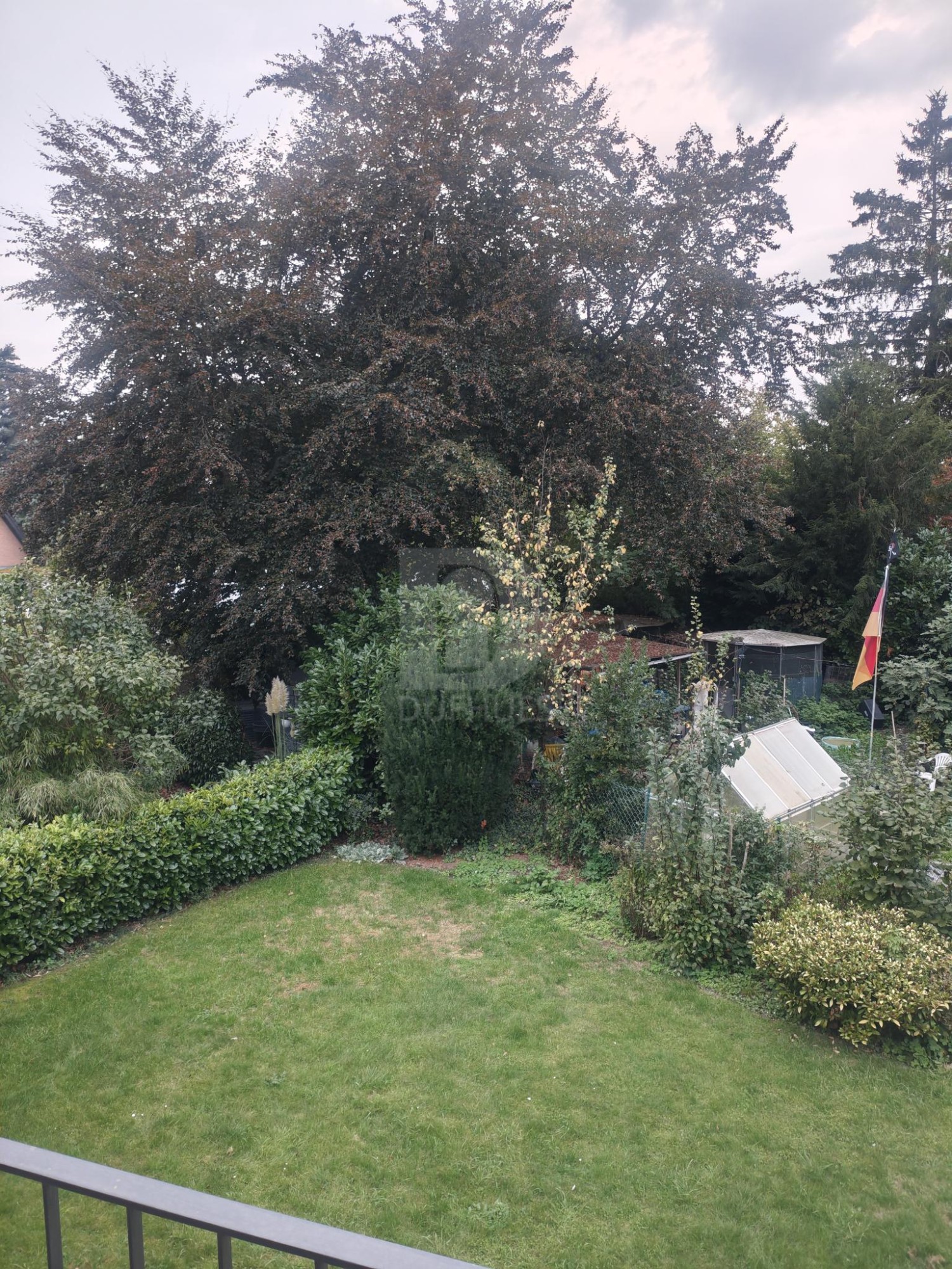 Blick in Garten