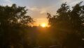 Abendsonne_